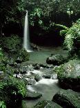 Waterfall Flowing into the Emerald Pool, Dominica, West Indies, Central America-James Gritz-Photographic Print