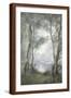 Brown Frame