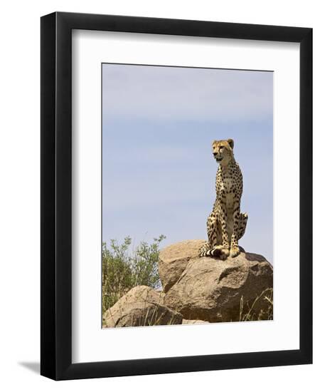Premium Photographic Print, , large