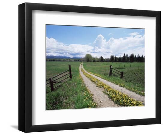 Premium Photographic Print, , large
