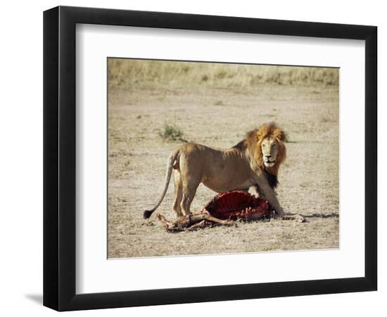 Photographic Print, , large