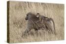 Stretched Canvas