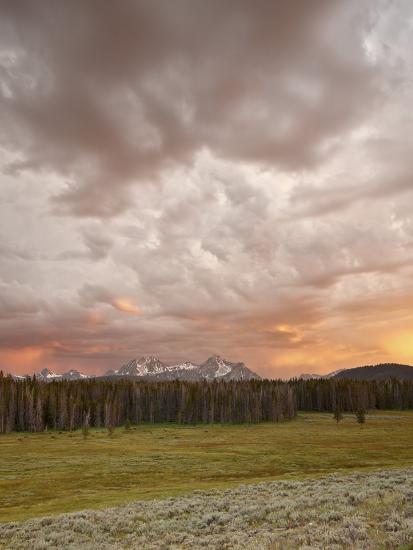 Photographic Print, , large