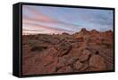 Canvas Black