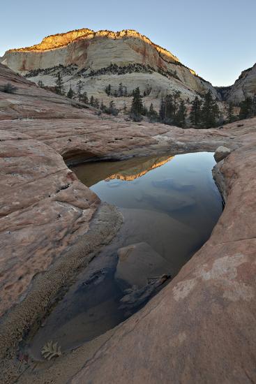Premium Photographic Print, , large