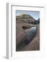 Chelsea White