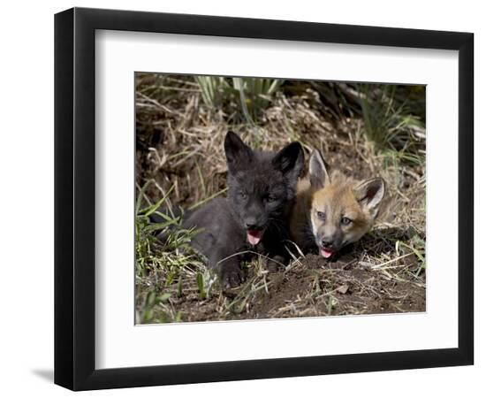 Premium Photographic Print, , large