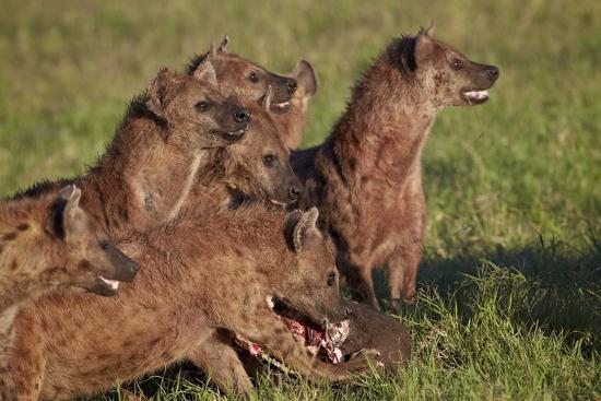 Photographic Print, , large