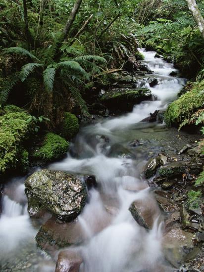 Premium Photographic Print, , large