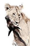 Cheetah (Acinonyx Jubatus) Mother and Cub, Serengeti National Park, Tanzania, East Africa, Africa-James Hager-Photographic Print