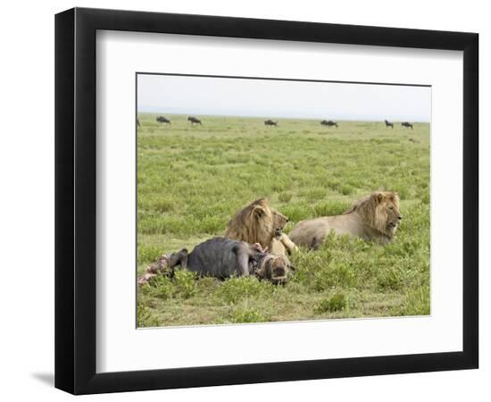 Premium Photographic Print, , large