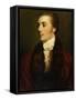 James Hare, M.P.-Sir Joshua Reynolds-Framed Stretched Canvas