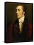 James Hare, M.P.-Sir Joshua Reynolds-Framed Stretched Canvas