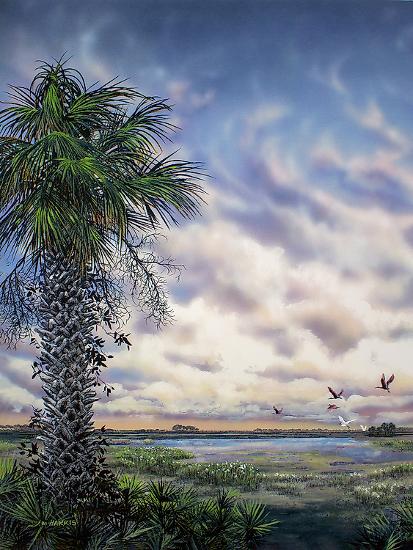 Art Print, , large