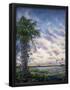 Essential Black