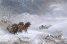 Welsh Ponies in the Snow-James Howie Carse-Framed Stretched Canvas