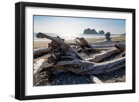 James Island and driftwood on the beach at La Push on the Pacific Northwest, Washington State, Unit-Martin Child-Framed Photographic Print