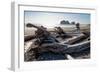 James Island and driftwood on the beach at La Push on the Pacific Northwest, Washington State, Unit-Martin Child-Framed Photographic Print