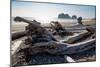 James Island and driftwood on the beach at La Push on the Pacific Northwest, Washington State, Unit-Martin Child-Mounted Photographic Print