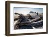 James Island and driftwood on the beach at La Push on the Pacific Northwest, Washington State, Unit-Martin Child-Framed Photographic Print