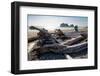 James Island and driftwood on the beach at La Push on the Pacific Northwest, Washington State, Unit-Martin Child-Framed Photographic Print