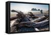 James Island and driftwood on the beach at La Push on the Pacific Northwest, Washington State, Unit-Martin Child-Framed Stretched Canvas