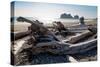 James Island and driftwood on the beach at La Push on the Pacific Northwest, Washington State, Unit-Martin Child-Stretched Canvas