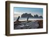 James Island with driftwood on the beach at La Push on the Pacific Northwest coast, Washington Stat-Martin Child-Framed Photographic Print