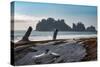 James Island with driftwood on the beach at La Push on the Pacific Northwest coast, Washington Stat-Martin Child-Stretched Canvas