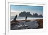 James Island with driftwood on the beach at La Push on the Pacific Northwest coast, Washington Stat-Martin Child-Framed Photographic Print