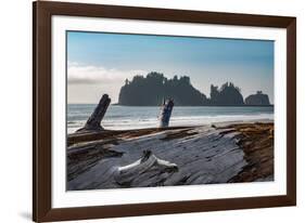 James Island with driftwood on the beach at La Push on the Pacific Northwest coast, Washington Stat-Martin Child-Framed Photographic Print