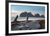 James Island with driftwood on the beach at La Push on the Pacific Northwest coast, Washington Stat-Martin Child-Framed Photographic Print