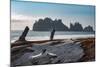 James Island with driftwood on the beach at La Push on the Pacific Northwest coast, Washington Stat-Martin Child-Mounted Photographic Print