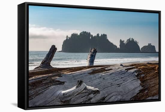 James Island with driftwood on the beach at La Push on the Pacific Northwest coast, Washington Stat-Martin Child-Framed Stretched Canvas