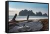 James Island with driftwood on the beach at La Push on the Pacific Northwest coast, Washington Stat-Martin Child-Framed Stretched Canvas