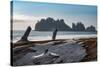 James Island with driftwood on the beach at La Push on the Pacific Northwest coast, Washington Stat-Martin Child-Stretched Canvas