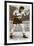 James J Braddock, Irish-American Boxer, 1938-null-Framed Giclee Print