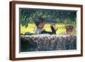 Brown Frame