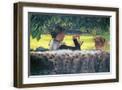 Brown Frame