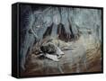 Canvas Black