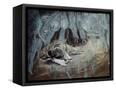 Canvas Black