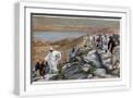 White Frame
