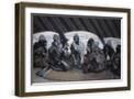Brown Frame