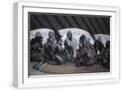 White Frame
