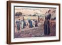 Brown Frame