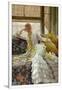 Gramercy White