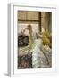 White Frame