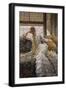Black Frame