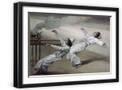 Black Frame