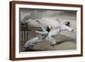 Brown Frame
